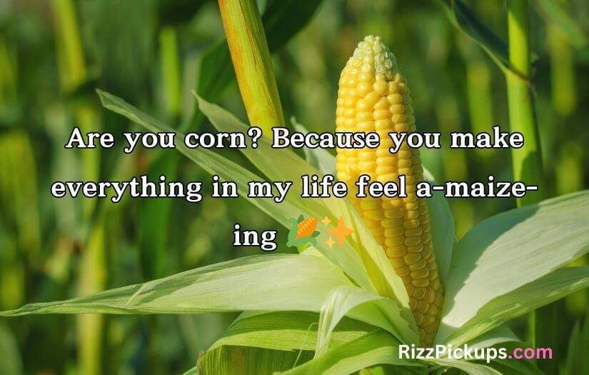 Corn Pick Up Lines