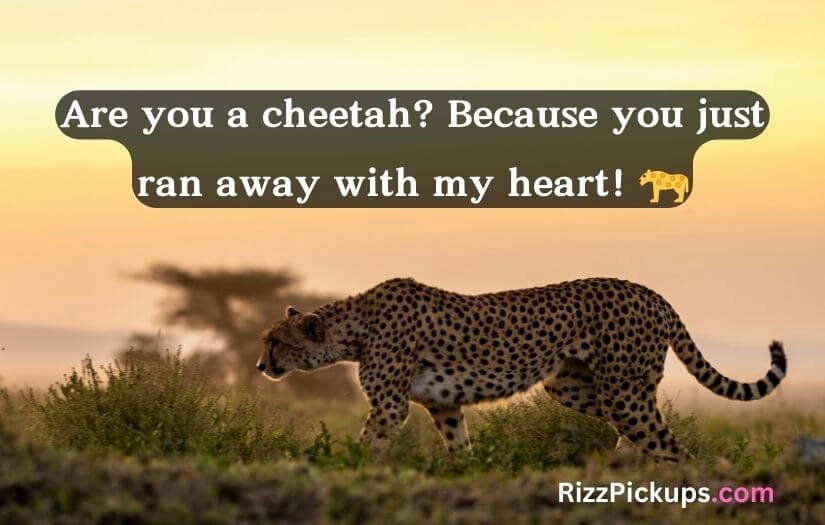 Animal Pick Up Lines