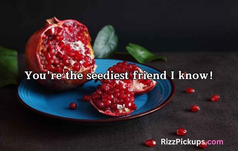 Juicy Pomegranate Puns