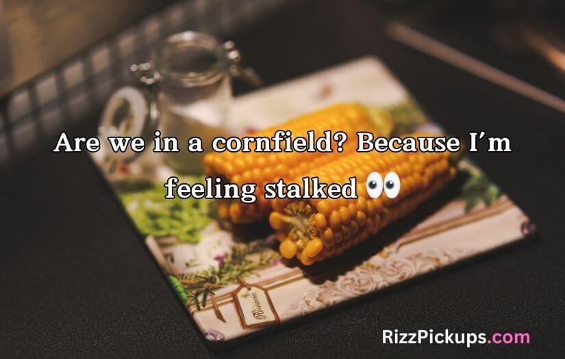 Corn Pick Up Lines