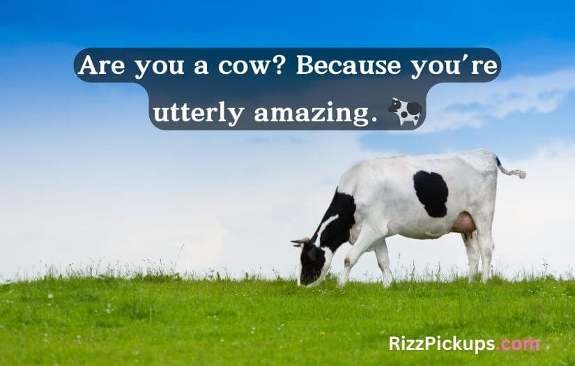 Animal Pick Up Lines