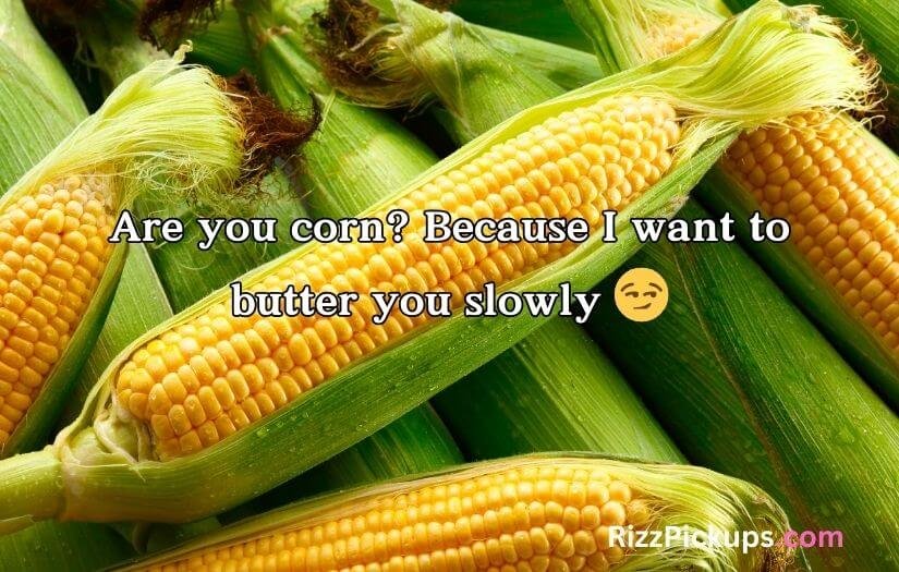 Corn Pick Up Lines