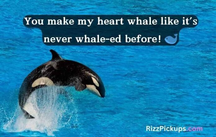 Whale Rizz Lines Whale Rizz Lines