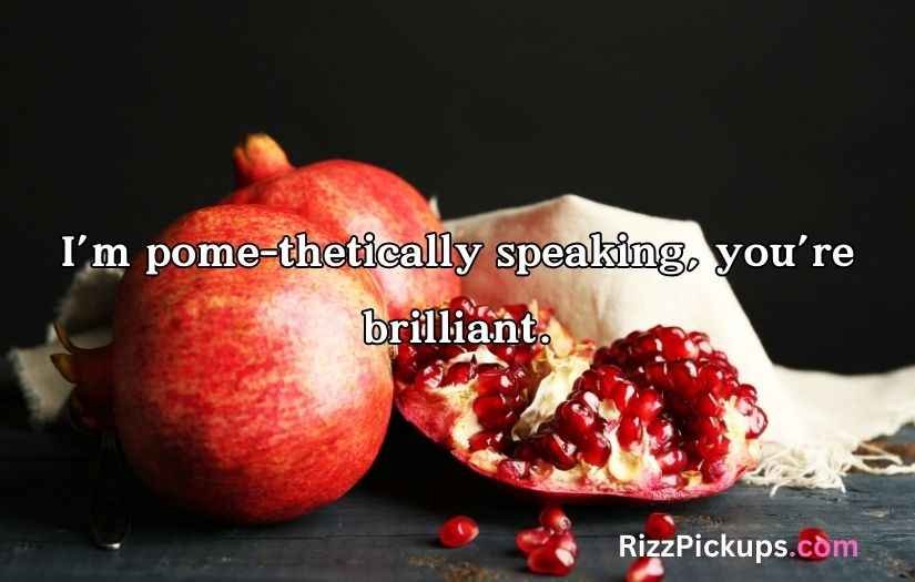 Juicy Pomegranate Puns