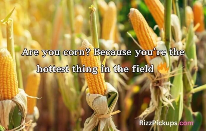 Corn Pick Up Lines Corn Pick Up Lines
