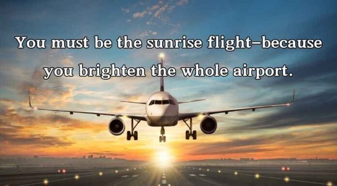 Airport Pick Up Lines Airport Pick Up Lines