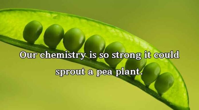 Pea Pickup Lines Pea Pickup Lines