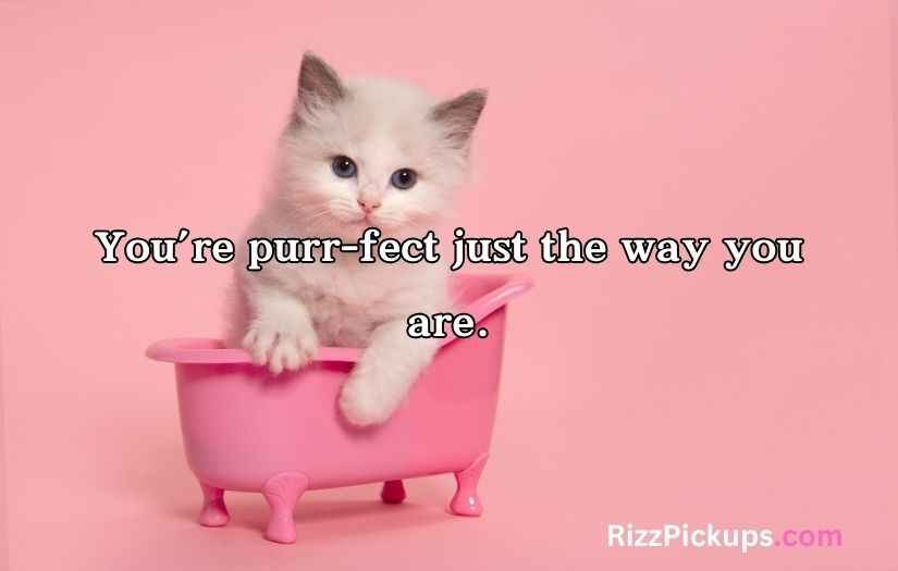 Cat Pick Up Lines