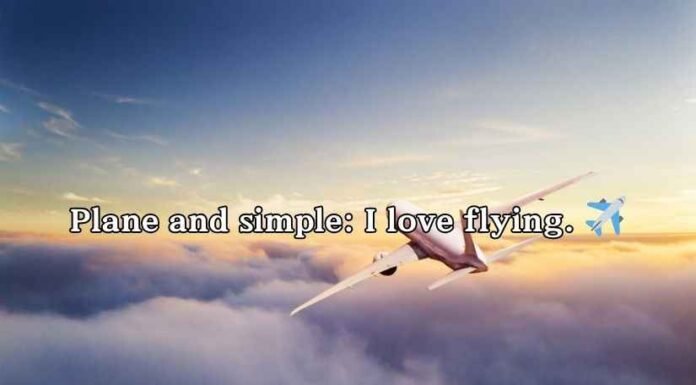 Flying Puns Flying Puns