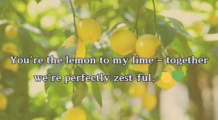 Lemon Puns Lemon Puns