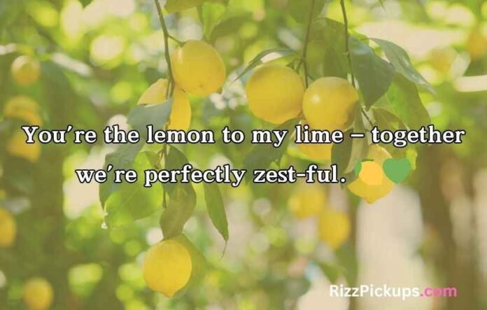 Lemon Puns