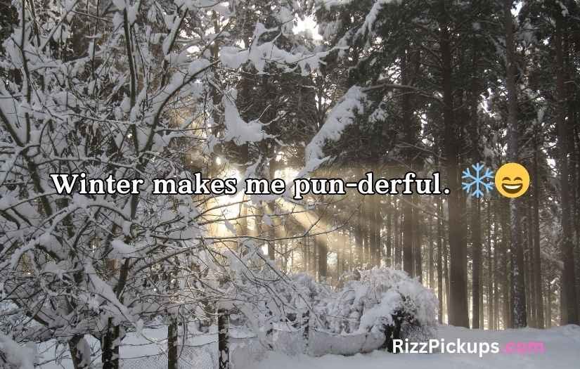 Snow Puns