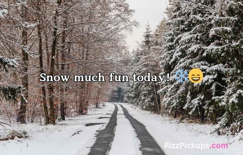 Snow Puns