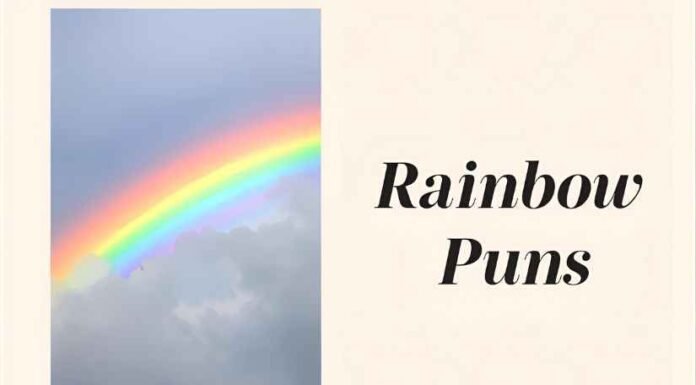 Rainbow Puns Rainbow Puns