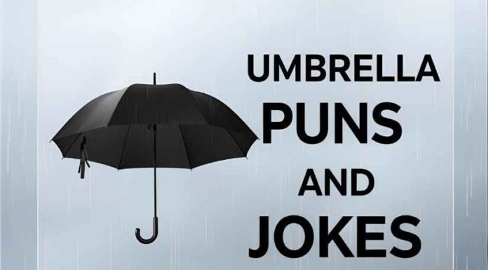 Umbrella Puns and Jokes Umbrella Puns and Jokes