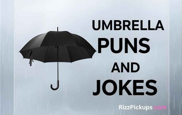 Umbrella Puns and Jokes Umbrella Puns and Jokes