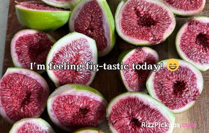 Fig Puns and Jokes