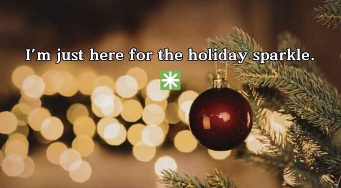 Ornament Puns and Jokes Ornament Puns and Jokes