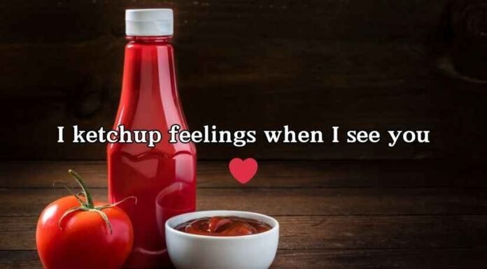 Ketchup Puns Ketchup Puns