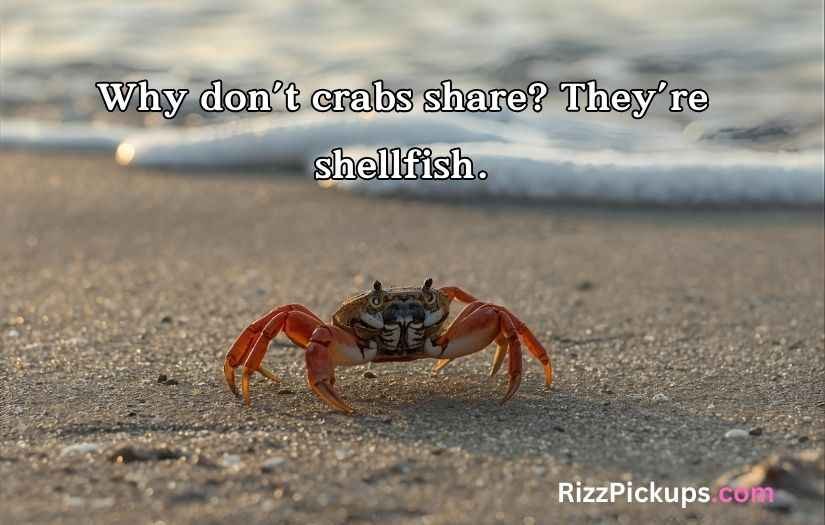 Crab Puns and Jokes