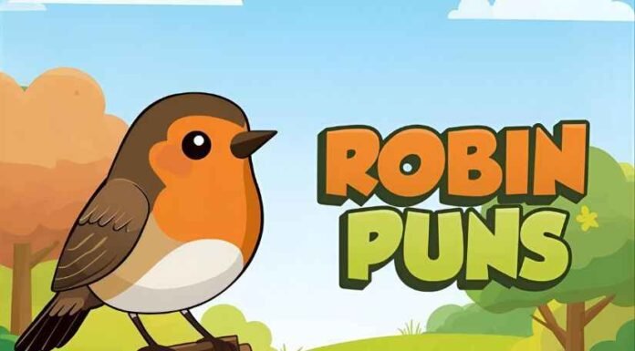 Robin Puns Robin Puns