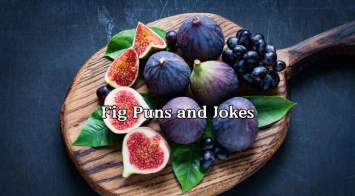 Fig Puns and Jokes Fig Puns and Jokes