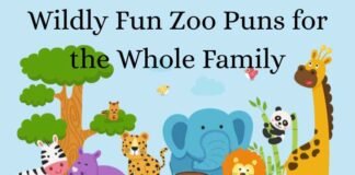 Zoo Puns Zoo Puns