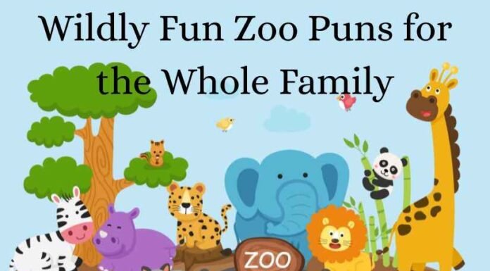 Zoo Puns Zoo Puns