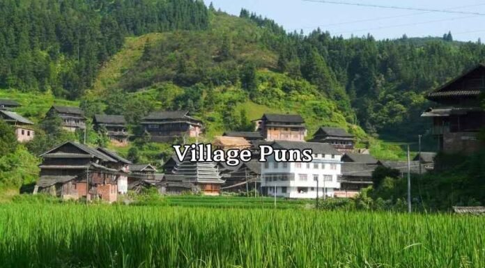 Village Puns Village Puns