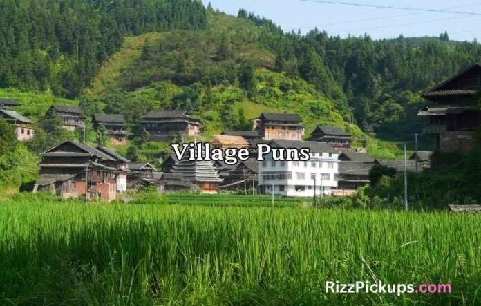 Village Puns