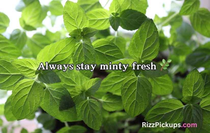Mint Puns