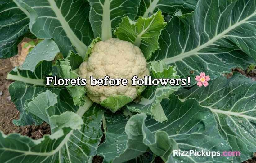Cauliflower Puns and Jokes