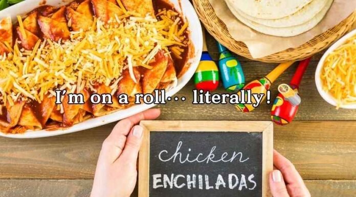 Enchilada Puns Enchilada Puns