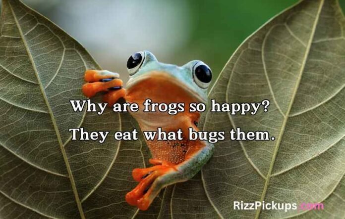 Frog Puns and Jokes