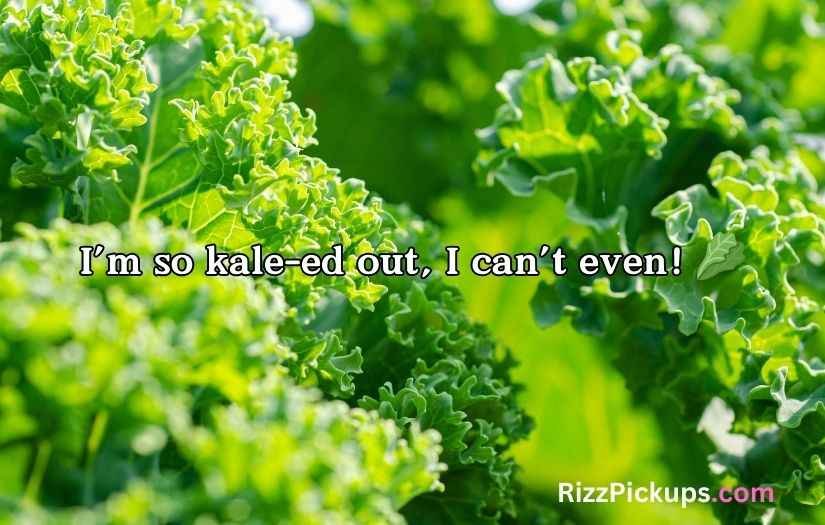 Kale Puns and Jokes