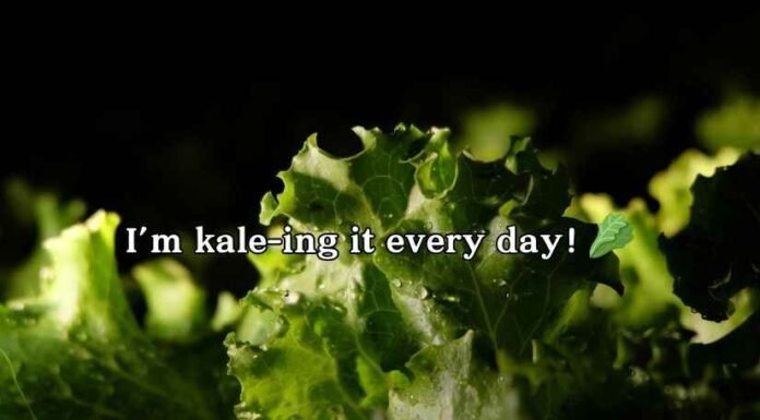 Kale Puns and Jokes Kale Puns and Jokes