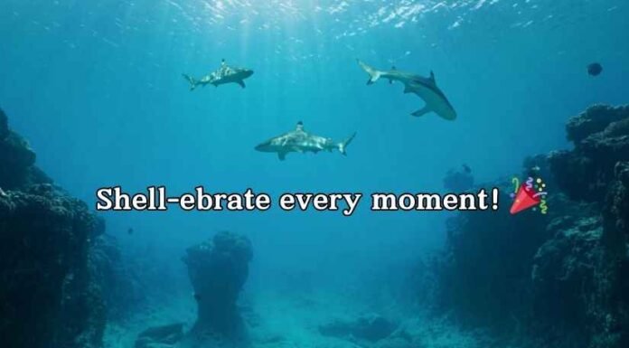 One Liner Ocean Puns One Liner Ocean Puns