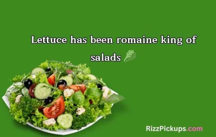 Salad Puns Salad Puns