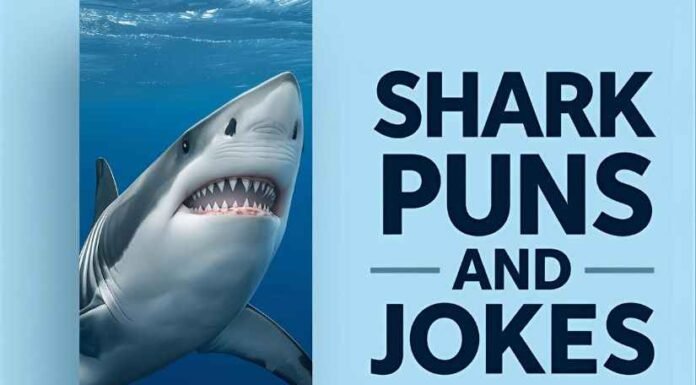 Shark Puns and Jokes Shark Puns and Jokes