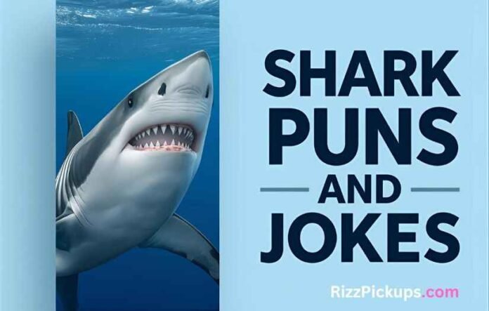 Shark Puns and Jokes