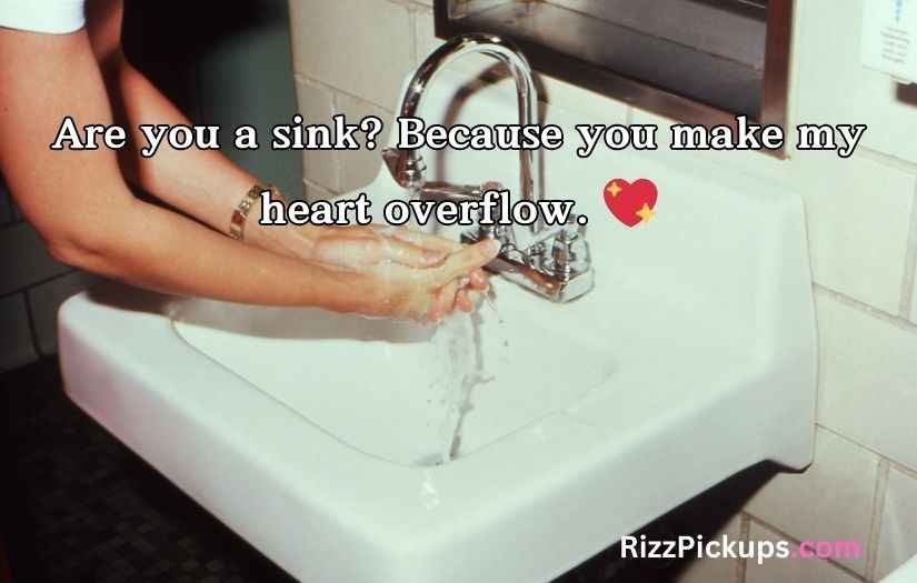 Sink Puns