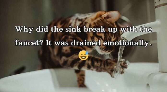 Sink Puns Sink Puns