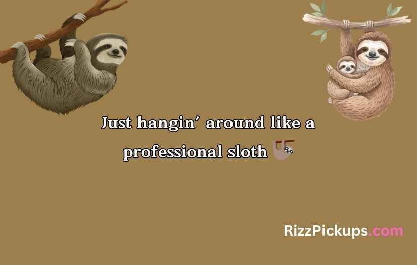 Sloth Puns