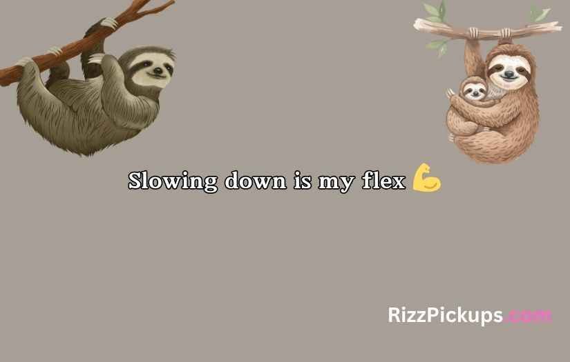 Sloth Puns