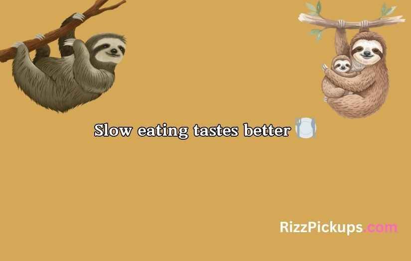 Sloth Puns