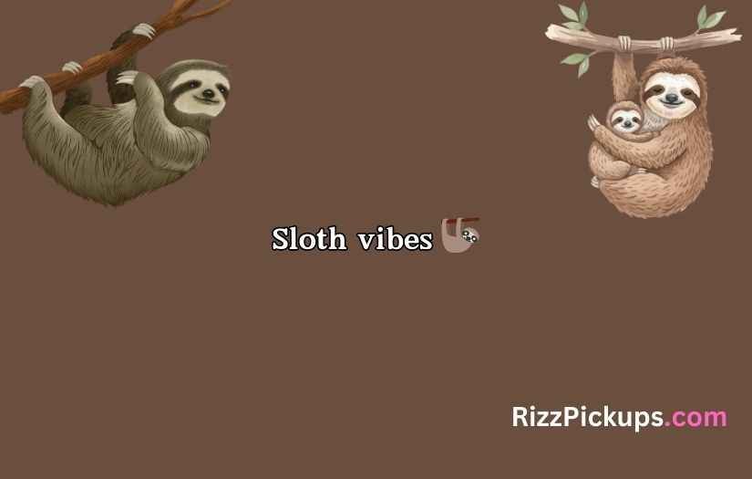 Sloth Puns