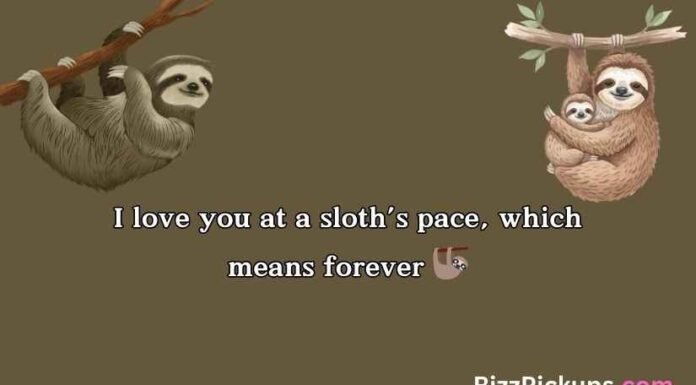 Sloth Puns Sloth Puns