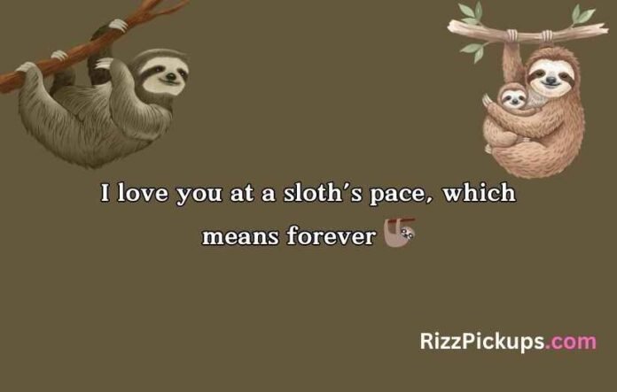 Sloth Puns