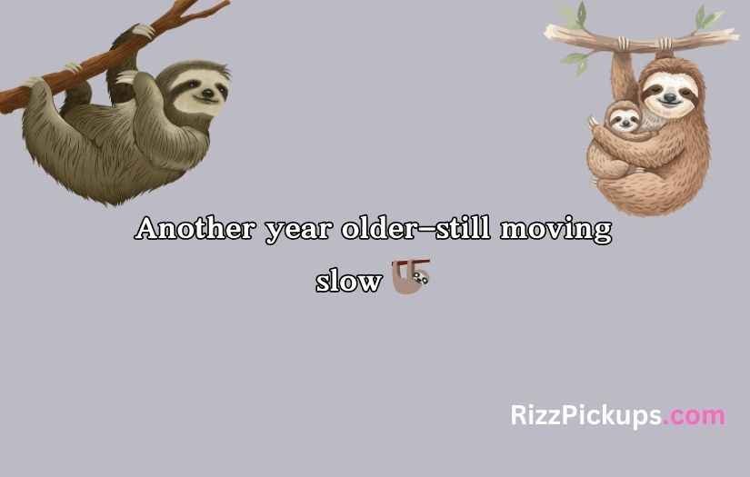 Sloth Puns