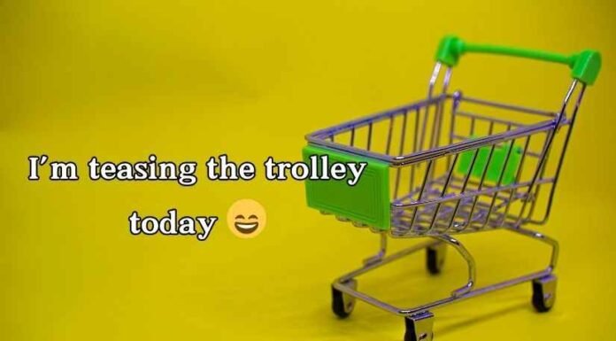 Trolley Puns Trolley Puns